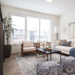 The Mia | Available Now!