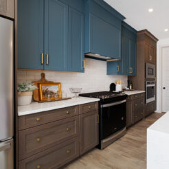 The Mia | Available Now!