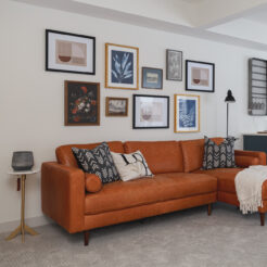 The Mia | Available Now!