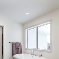 The Mia | Available Now!