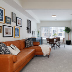 The Mia | Available Now!