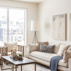 The Mia | Available Now!